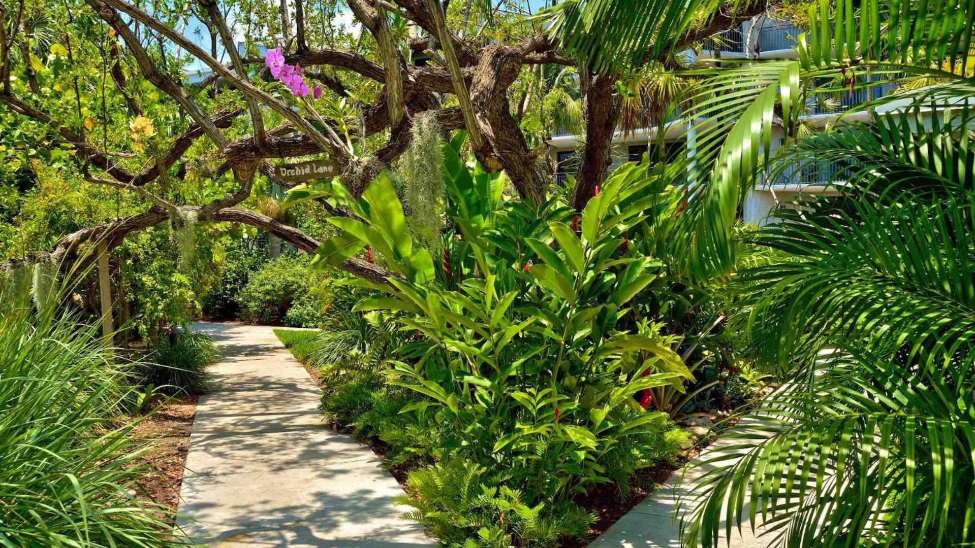 Riviera Americana By Last Key Realty Key West Eksteriør billede